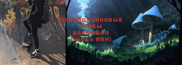 герыч Алексин