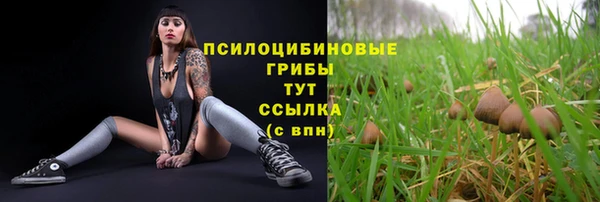 герыч Алексин