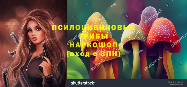 эйфоретик Алзамай
